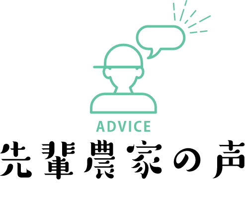 先輩農家の声