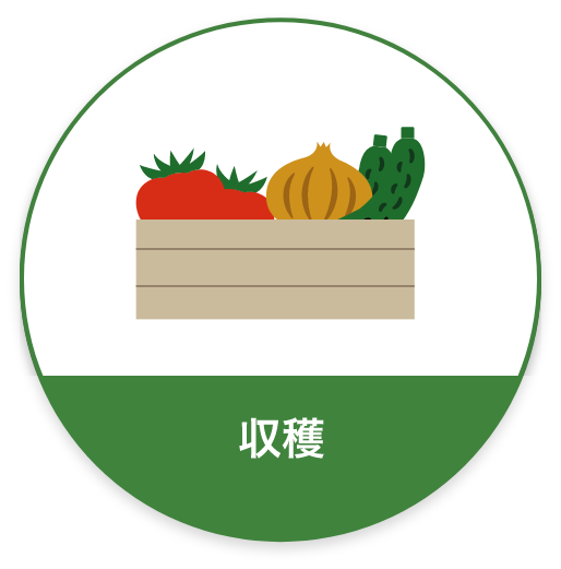 収穫