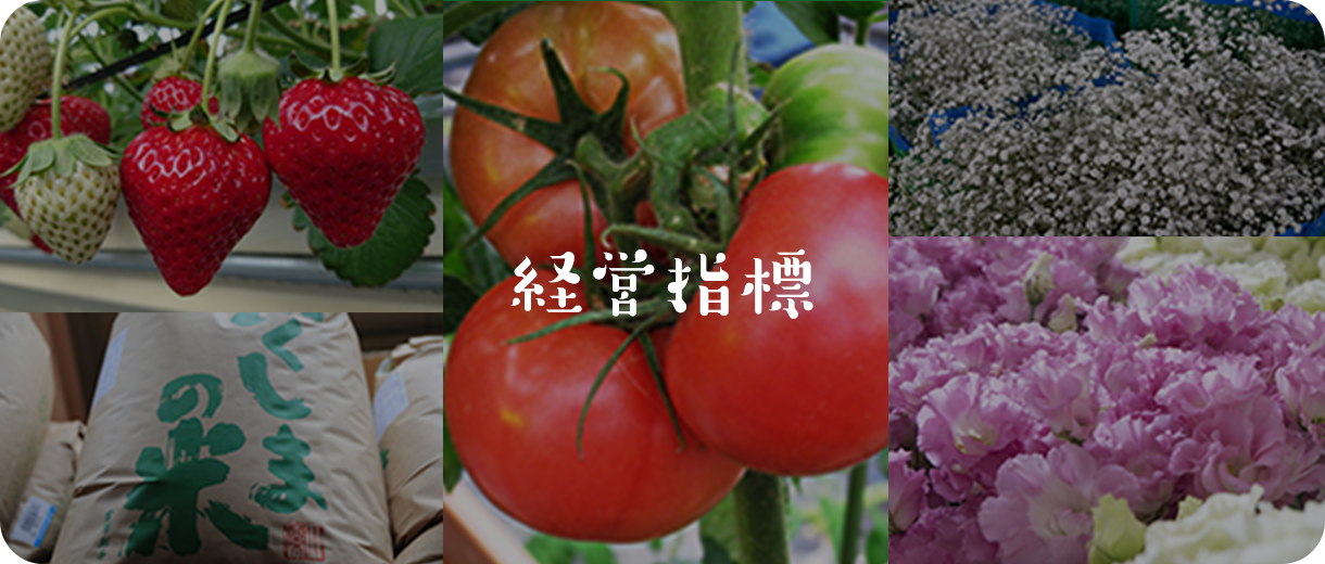 経営指標
