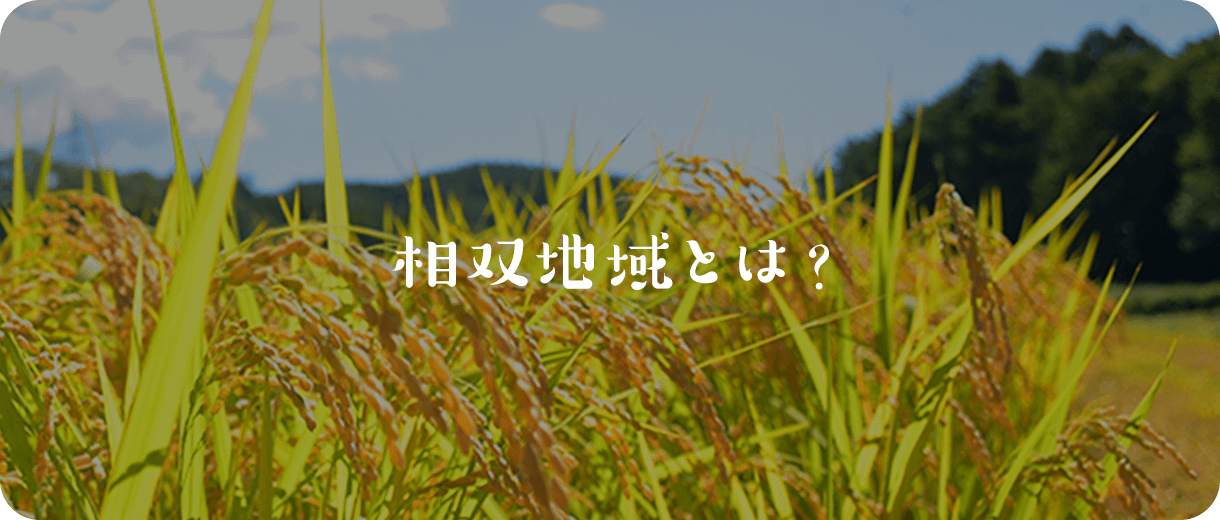 相双地域とは？