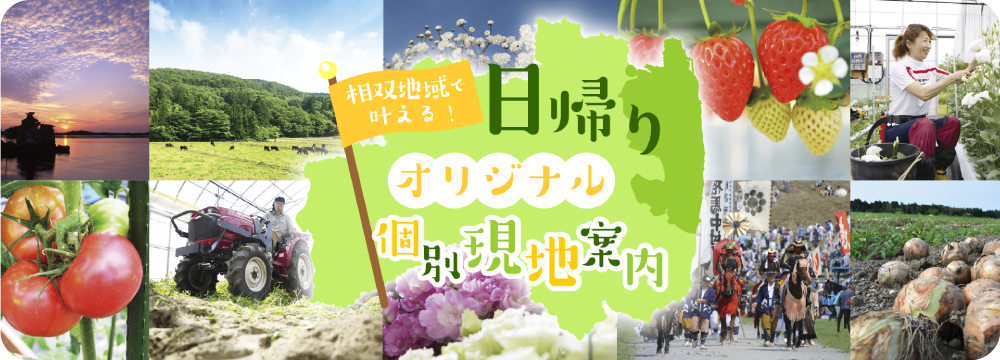 日帰りオリジナル個別現地案内