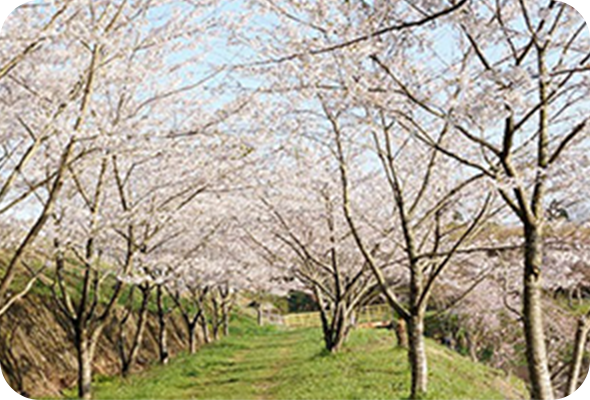 新地町