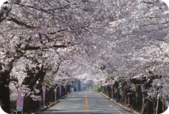 富岡町