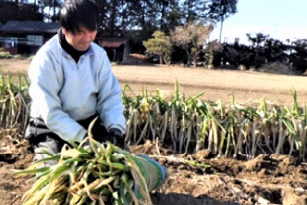 有限会社　荒井農産さま