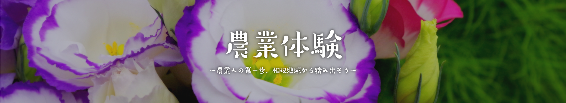 農業への第一歩、相双地域から踏み出そう