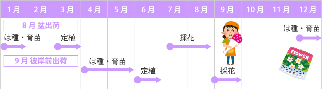 花きの年間スケジュール
