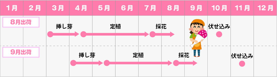 花きの年間スケジュール