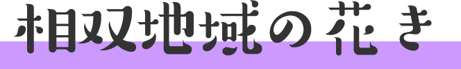 相双地域の野菜