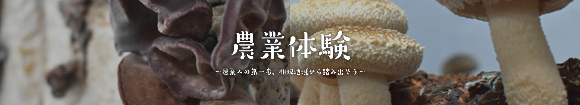 農業への第一歩、相双地域から踏み出そう