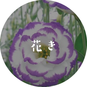 花き