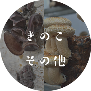 きのこ