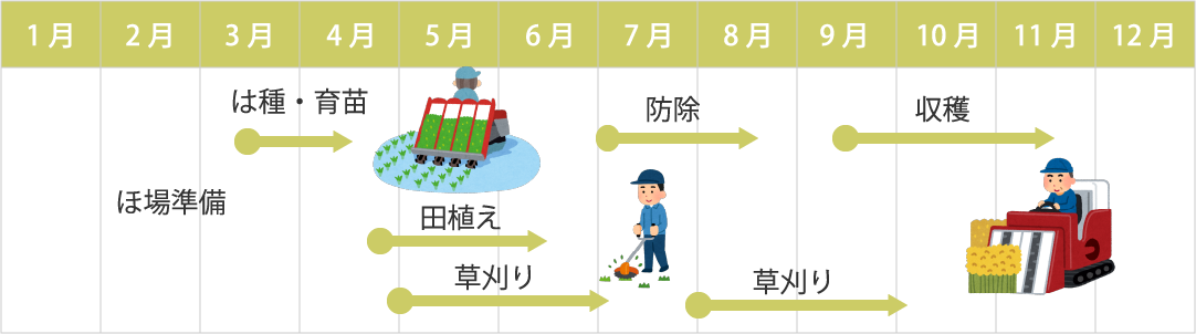 水稲の年間スケジュール