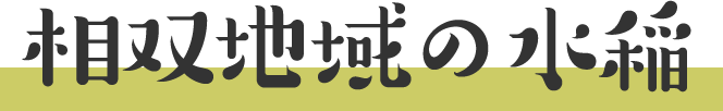 相双地域の水稲
