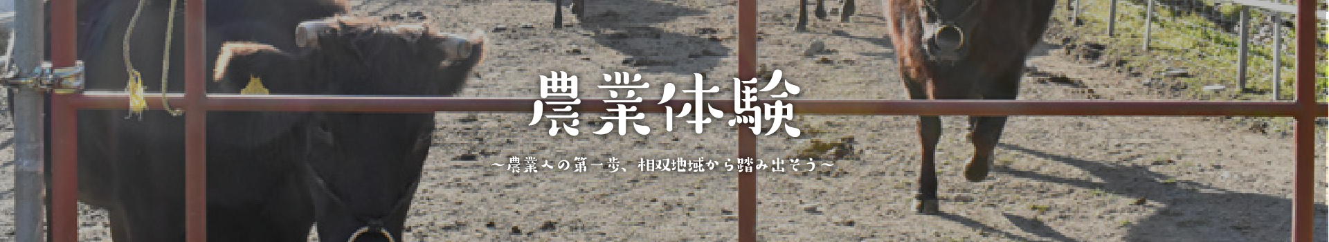 農業への第一歩、相双地域から踏み出そう