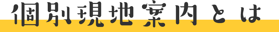 個別現地案内とは