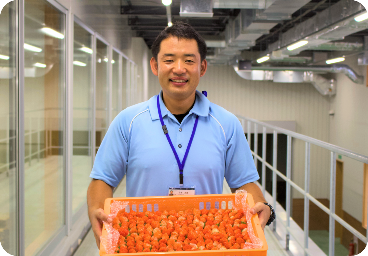 再び農業に携われる幸せを噛みしめて。最新鋭のイチゴ栽培システムで目指す農業復興